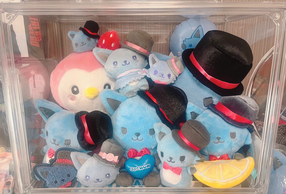 レイン詰め込んでみた（ぽぽも） かわいい💙🩷 だいぶ増えたなぁ