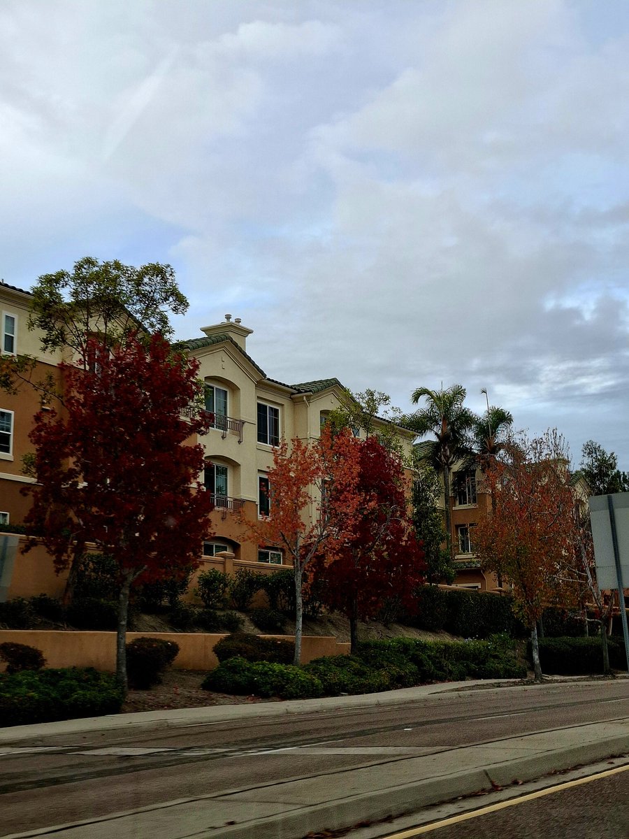 CANeetiChauhan's tweet image. Give yourself permission to slow down. Rest isn&apos;t weakness. Its Wisdom.

#happyweekend #fallcolours