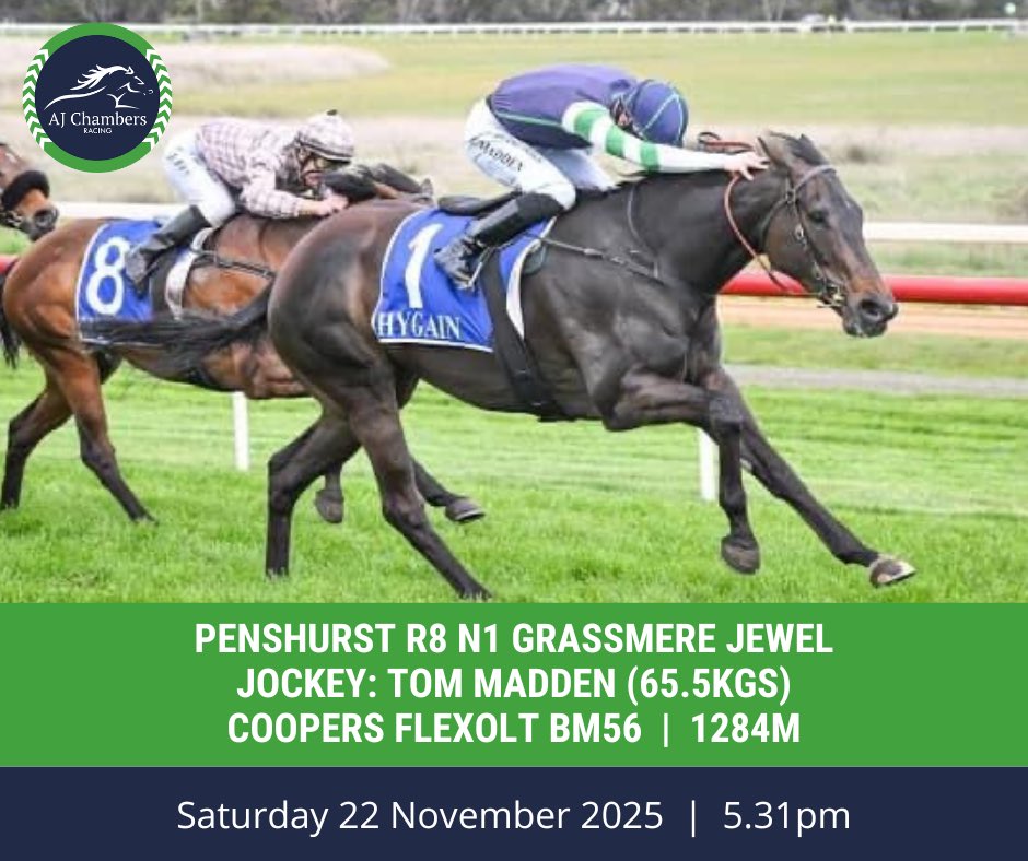 AJ Chambers Racing tweet media