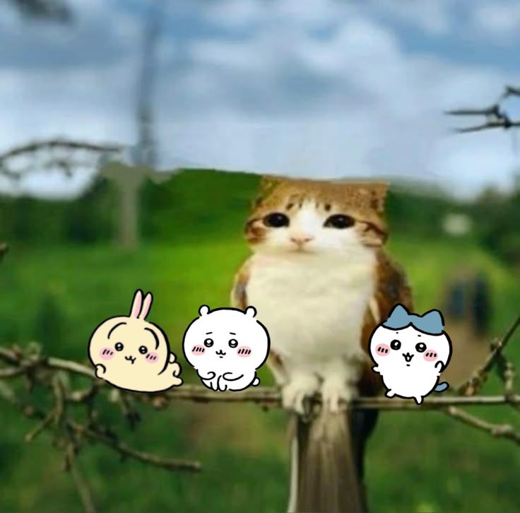 OomfieLoomfie's tweet image. 