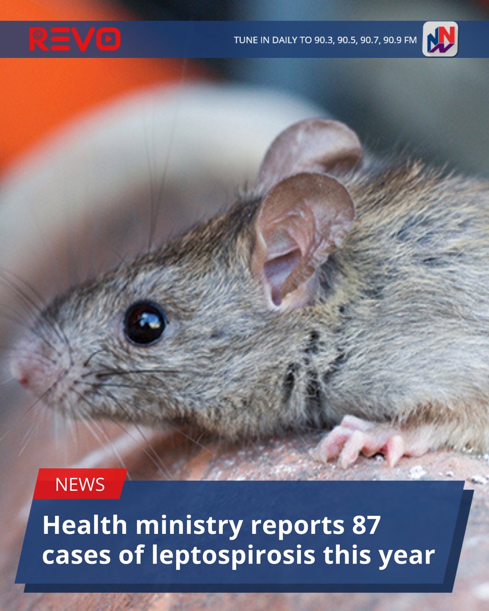 Nationwide90FM tweet media