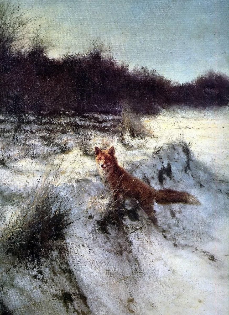 THE FOX AND THE SWEET MEMORY OF SIN

An old athonite hermit used to tell this story:

“Near my cell there grew a wild vineyard. Every autumn the same old fox would come and steal the ripest grapes. I saw her, but I never chased her away. ‘Let her be,’ I said to myself, ‘she too