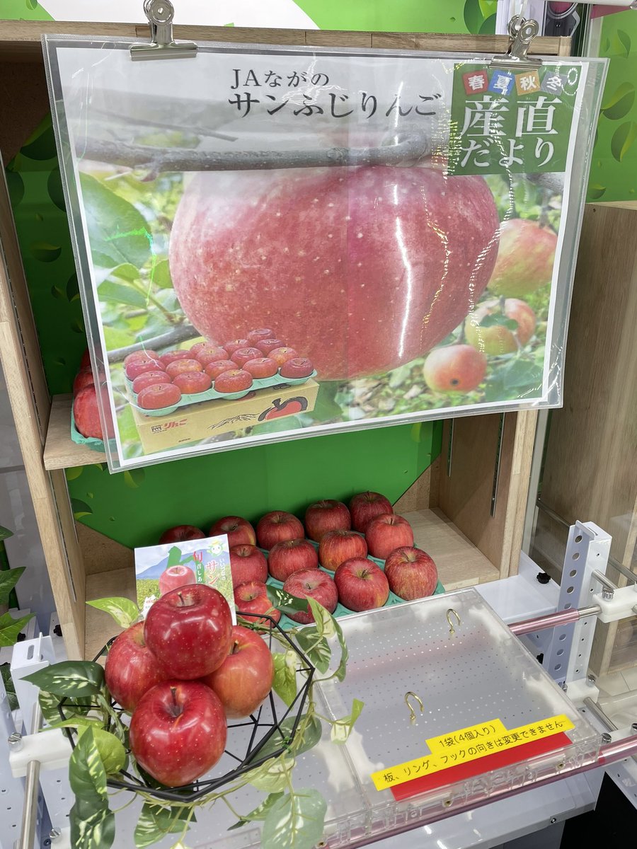 サンキャッチャー スワロフスキー ふじりんご様✩.*˚ご確認ページ 入荷情報】 サンゴールドキウイ🥝 サンふじりんご🍎 河内みかん🍊 入荷