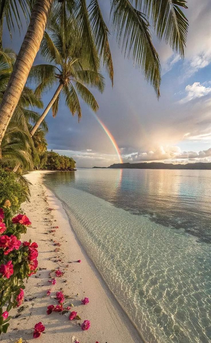 Aesthetics (@aestheticspost_) on Twitter photo 