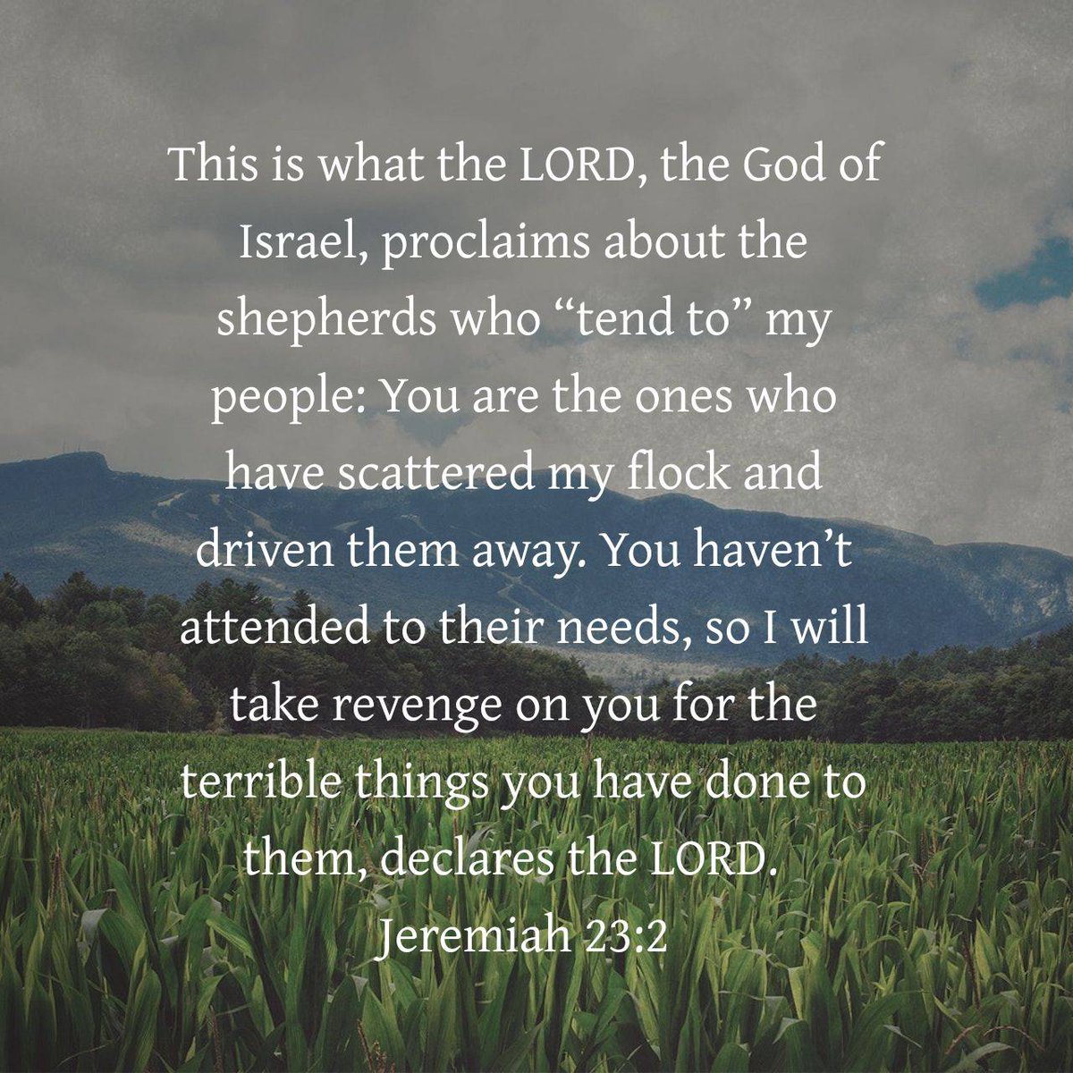 Lectionary's tweet image. Jeremiah 23:2 CEB
[2] This is what the LORD, the God of Israel, proclaims about the shepherds who “tend to” my people: You are the ones who have scattered my flock and driven them away. You haven’t attended to their needs, so I will take revenge on you for the terrible things...