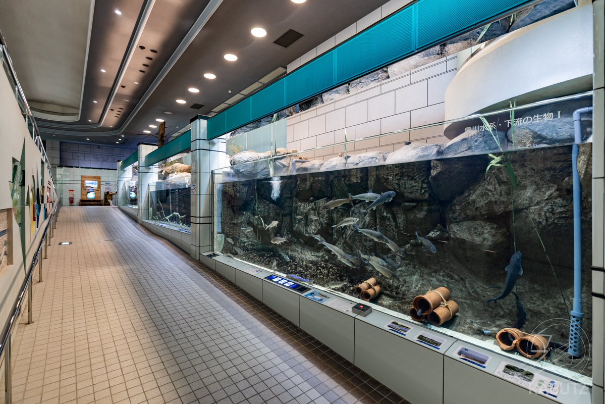tan_sui_kabutz's tweet image. 愛知県めっちゃ水族館が充実しとる説