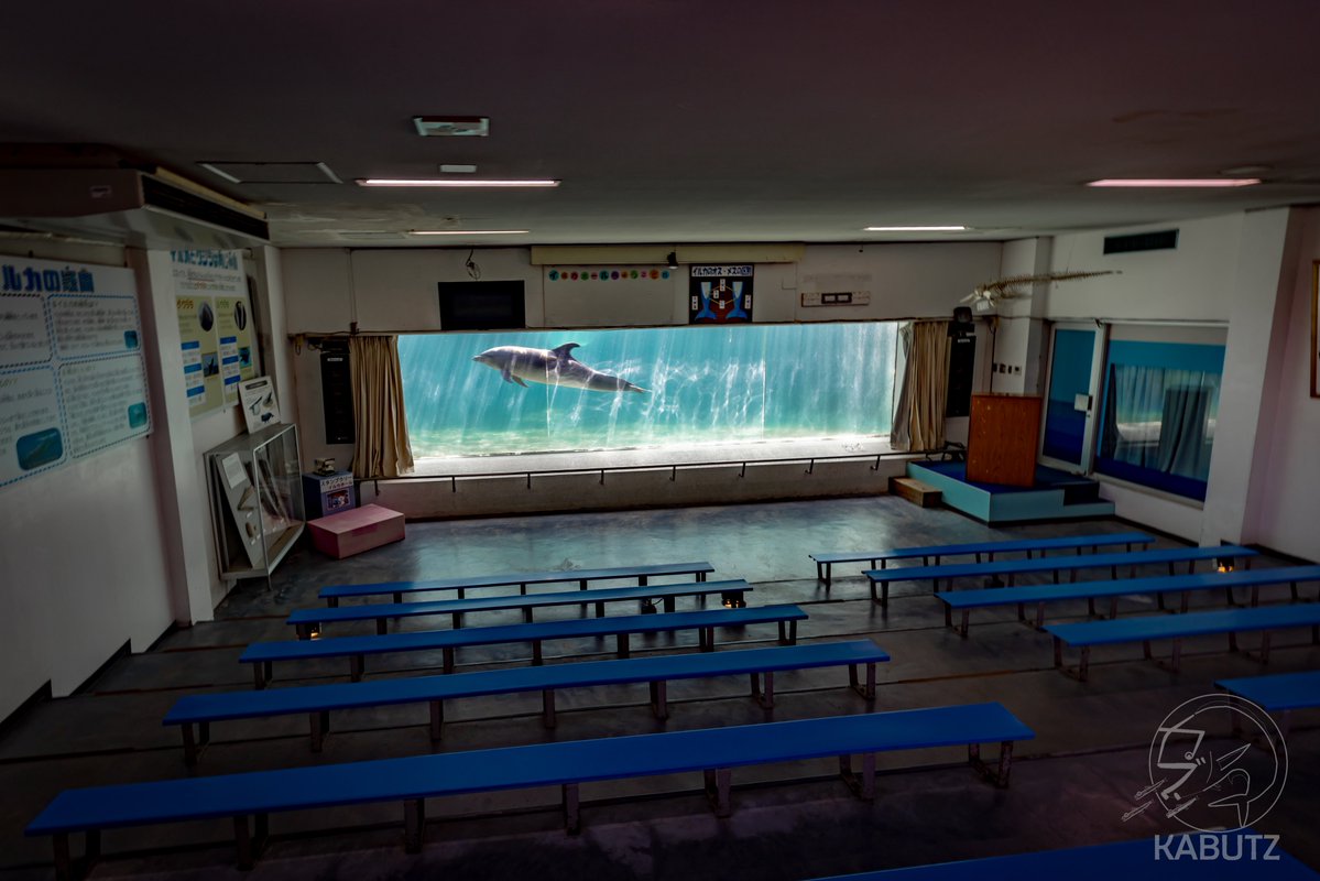 tan_sui_kabutz's tweet image. 愛知県めっちゃ水族館が充実しとる説