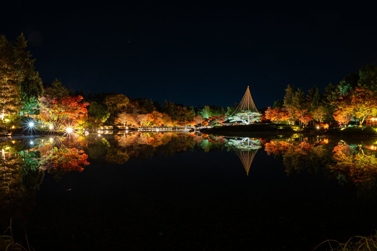 showakinenpark's tweet photo. 昭和記念公園では現在ライトアップイベント「秋の夜散歩」を開催中！園内3つの紅葉スポットでは、紅葉をより美しく魅せるライティングで、幻想的な空間を演出しています♪現在紅葉は見頃のピークともいえる色づきです。ぜひこの三連休は、昼と夜でそれぞれの秋景色をお楽しみください◎

1.かたらいのイチョウ並木
2.日本庭園
3-4.カナールイチョウ並木
(11/22早朝撮影)

※日本庭園のライトアップ観賞には公園入園料とは別に観賞料がかかります。
事前チケットは公式HPからご購入いただけます。
https://t.co/Yeqh8QzNcW