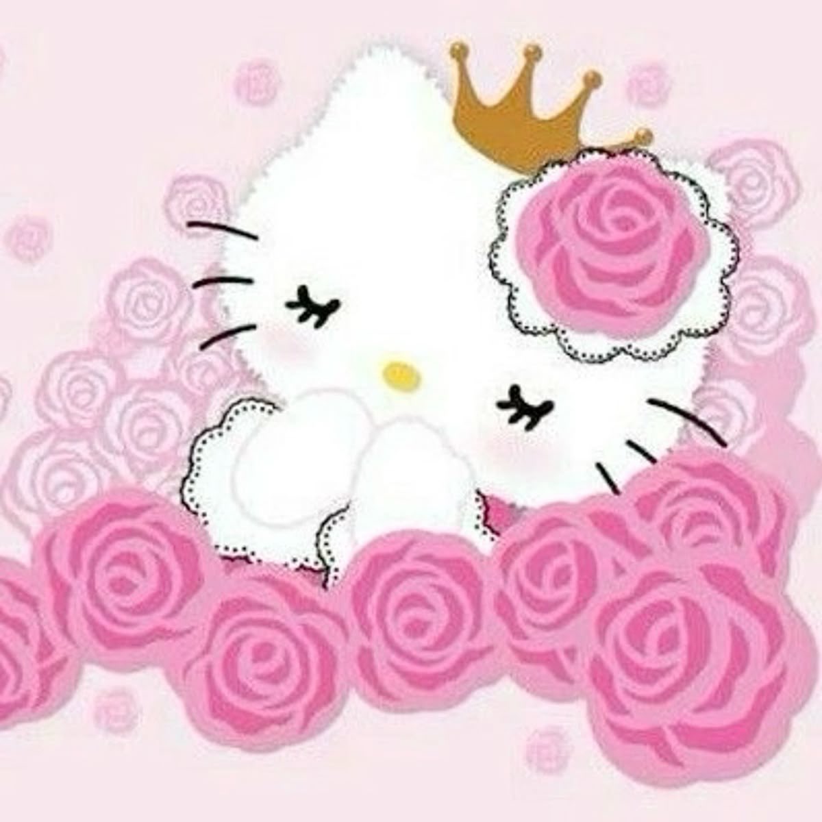 sakurafraise's tweet image. this hello kitty design is so cute and princess she’s so me omg