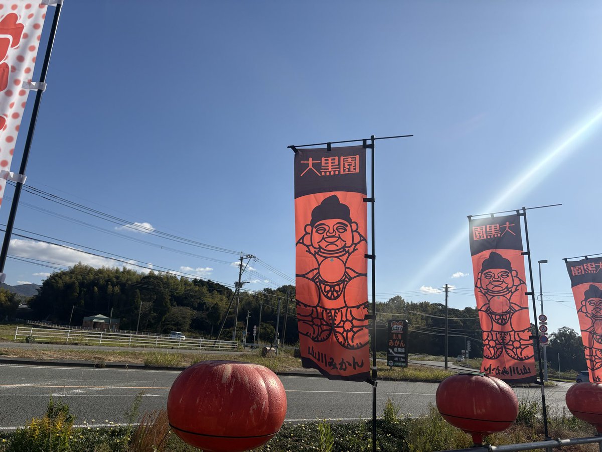 drone358mc's tweet photo. この旗を見掛けられたらお立ち寄りを🙇
国道443号線沿い。
みやま市瀬高町から熊本県南関町方面へ
美味しいみかん🍊売ってます。 https://t.co/orySqRW1Bm