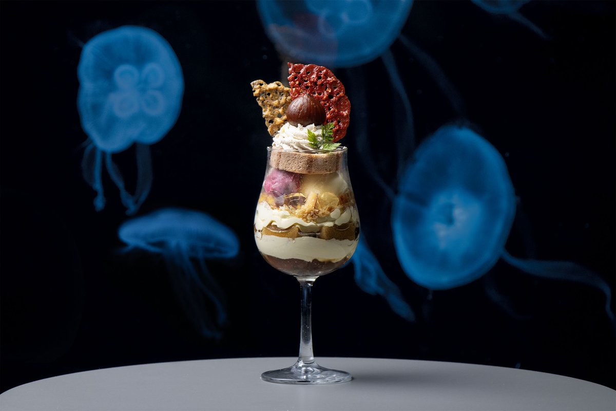 AOAO SAPPORO（アオアオ サッポロ） (@aoao_sapporo) / Posts / X