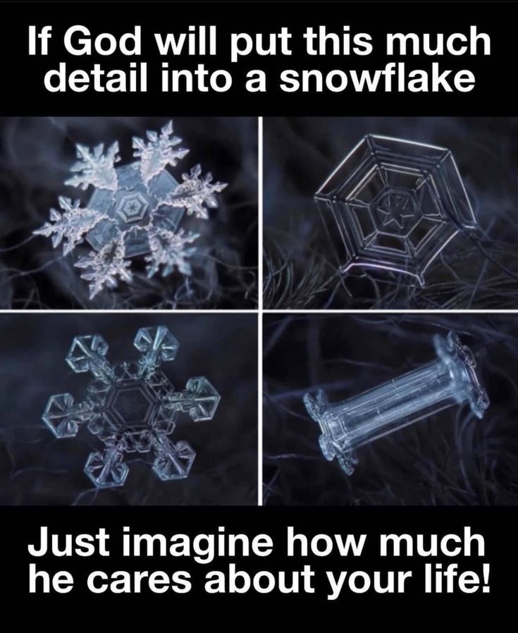 Truth_matters20's tweet image. 