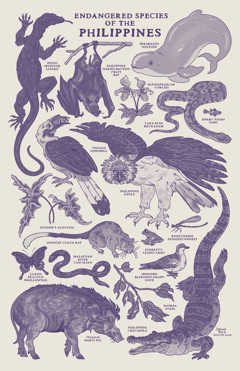 Stephne Tate tweet media