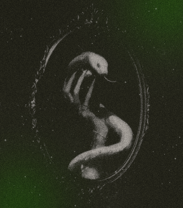 *ᅠ ᴿ𝖀𝐓𝐇𝐋𝐄𝐒𝐒𝙽𝙴𝐒𝐒. ♰ tweet media