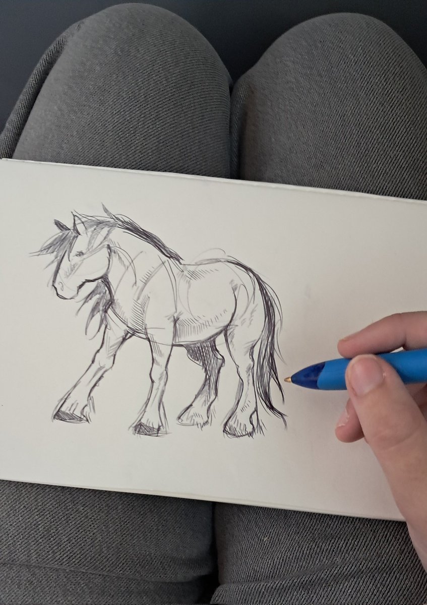 fishietwo's tweet image. drawing a horse on da bus