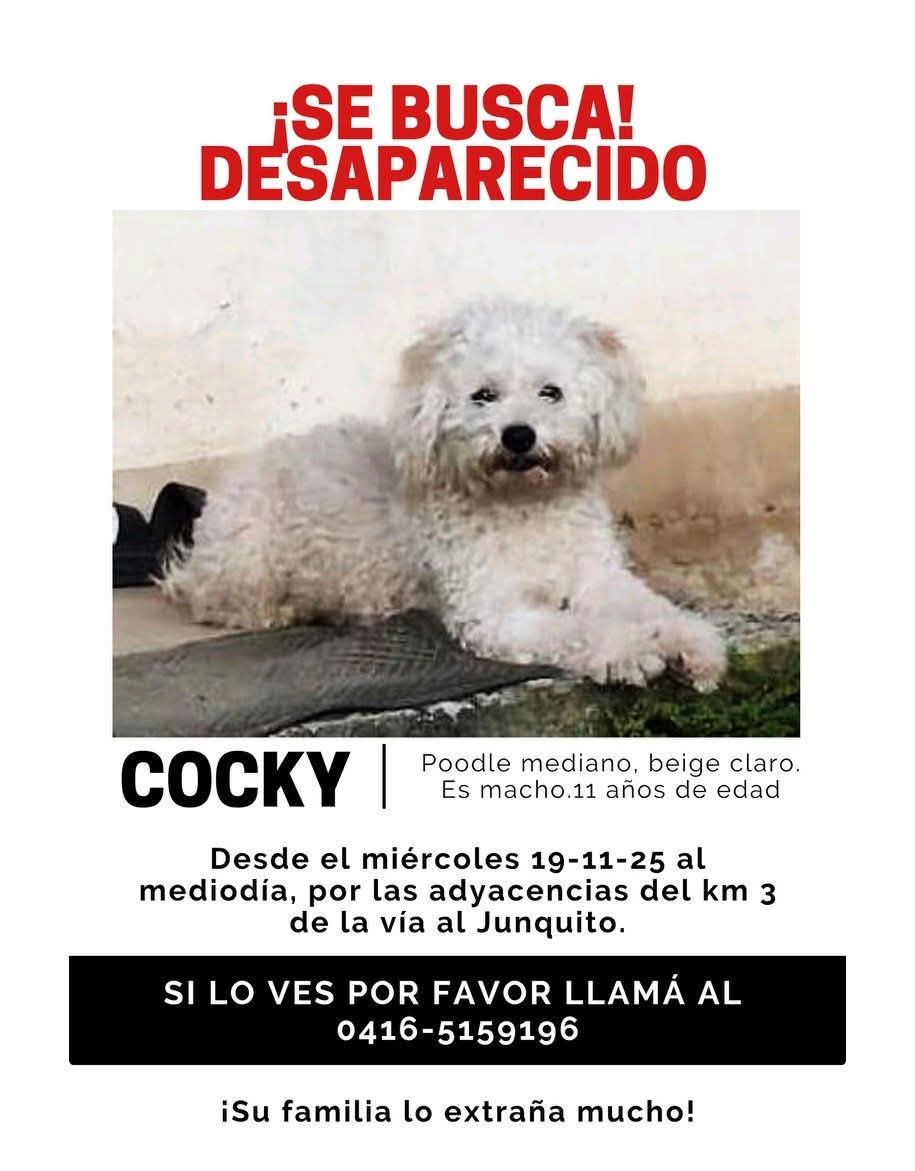 Se busca a Cocky,  Km 3 de El Junquito
