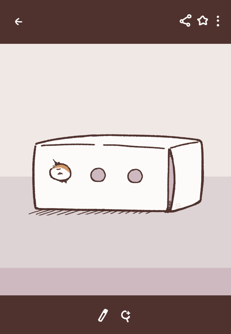 飼い主さんのカメラロールにある、一番最初のひまちゃんの写真