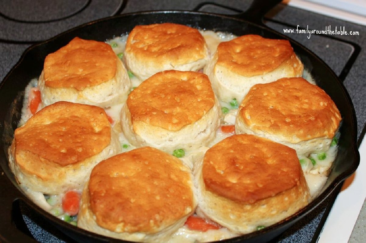 FamTable's tweet image. When you’re looking for a comforting dinner that comes together with simple ingredients, this Turkey Biscuit Stew is a winner every time. It’s a skillet meal that comes together quickly using leftover turkey and other readily available ingredients.
 familyaroundthetable.com/turkey-biscuit…
