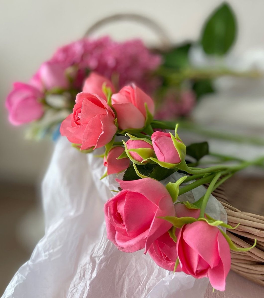 #صباح_الخير