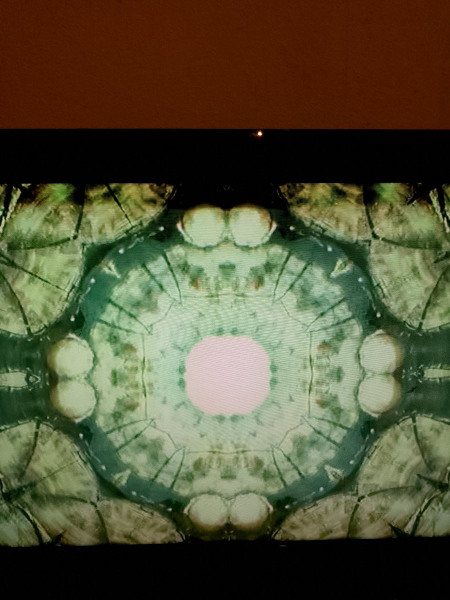 AndreaJackGoro's tweet image. #Kaleidoscope  on the TV #unwind