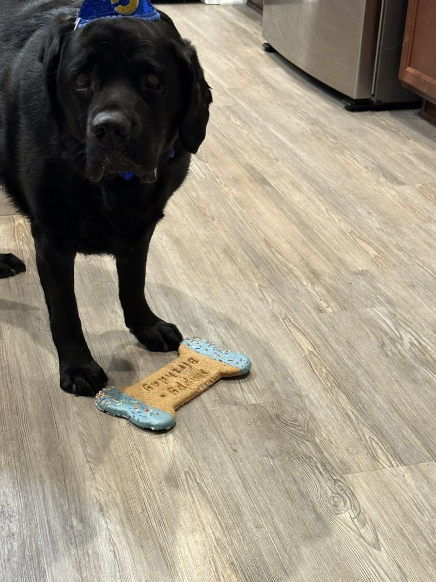 TMsAreFun's tweet image. Happy birthday to my Pawalegal Barry!