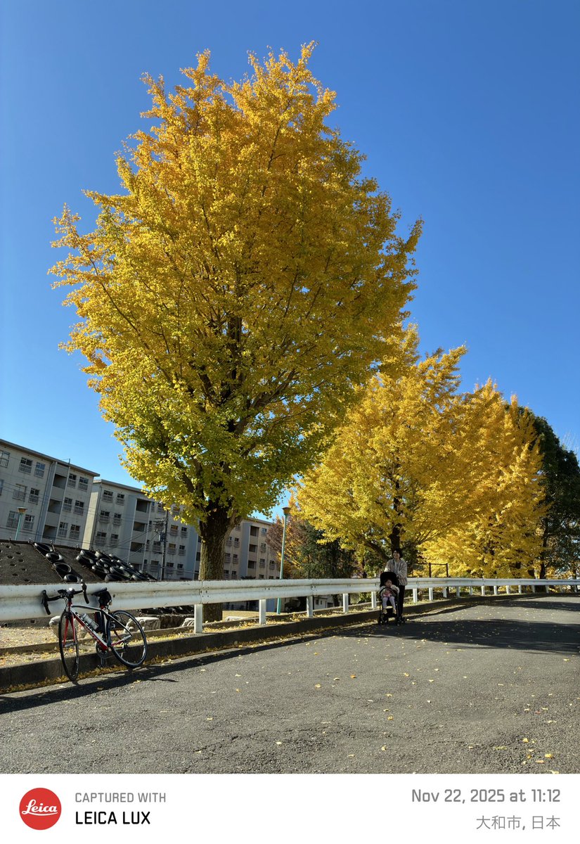 ごっさむ@ My funny Van allen 帯 (@pra2000) / Posts / X