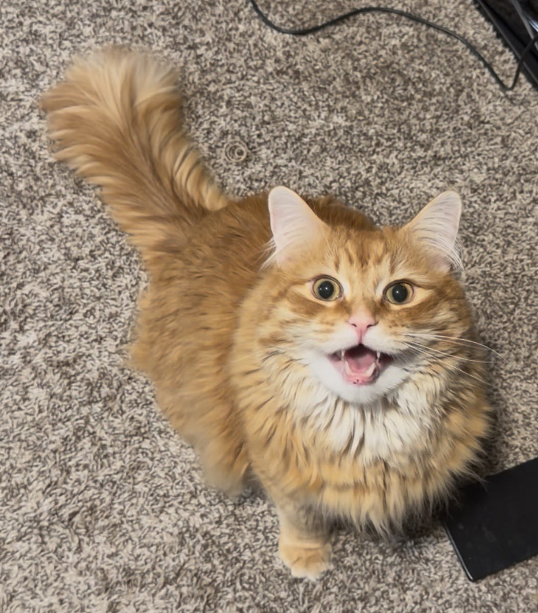 AJamesMcCarthy's tweet image. “Dad stop working and pay attention to me”