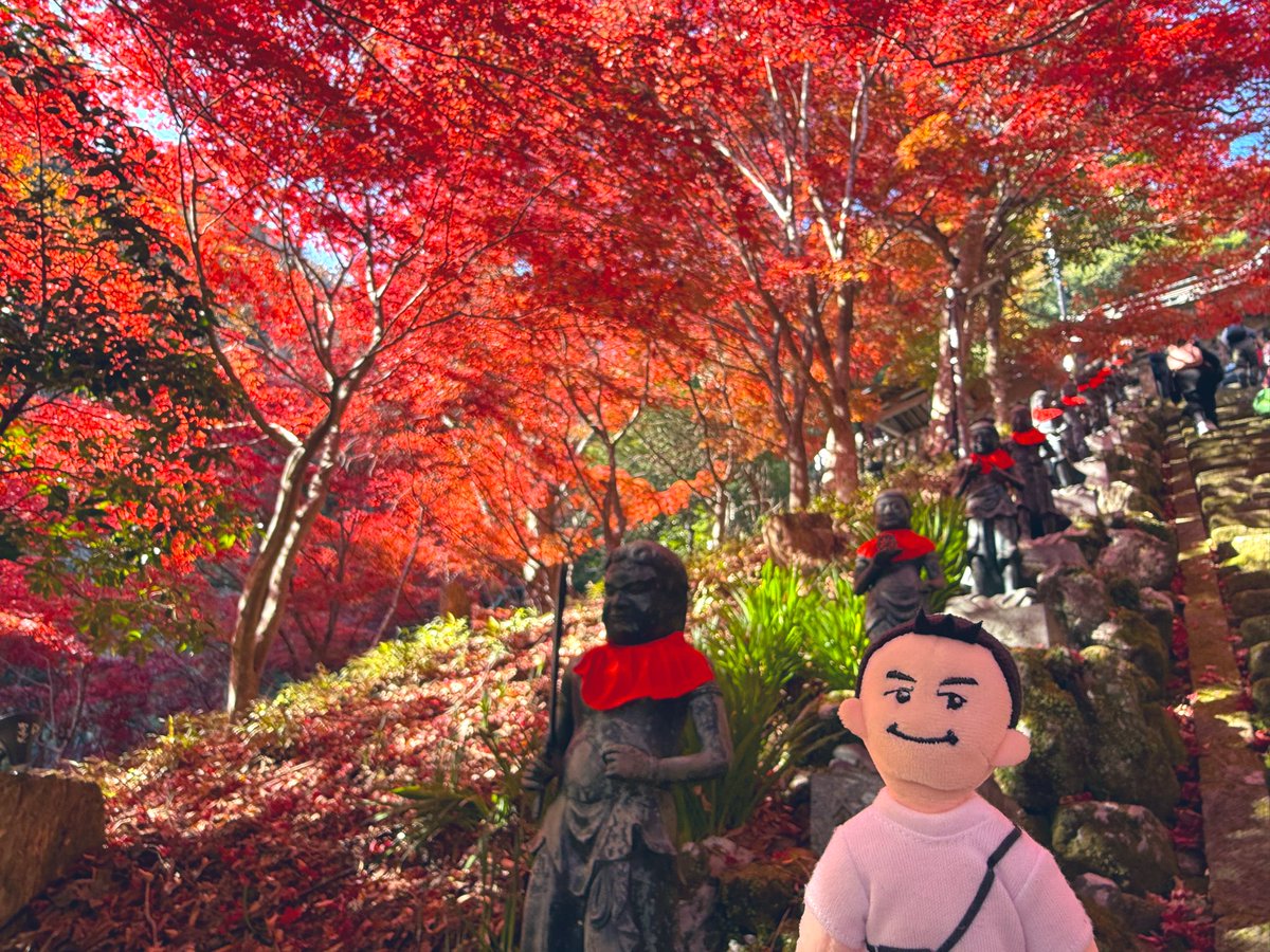 HIMAWARI (@387sunflower) / Posts / X