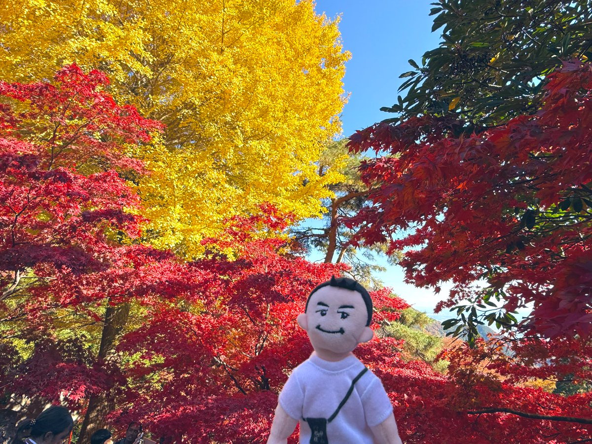 HIMAWARI (@387sunflower) / Posts / X