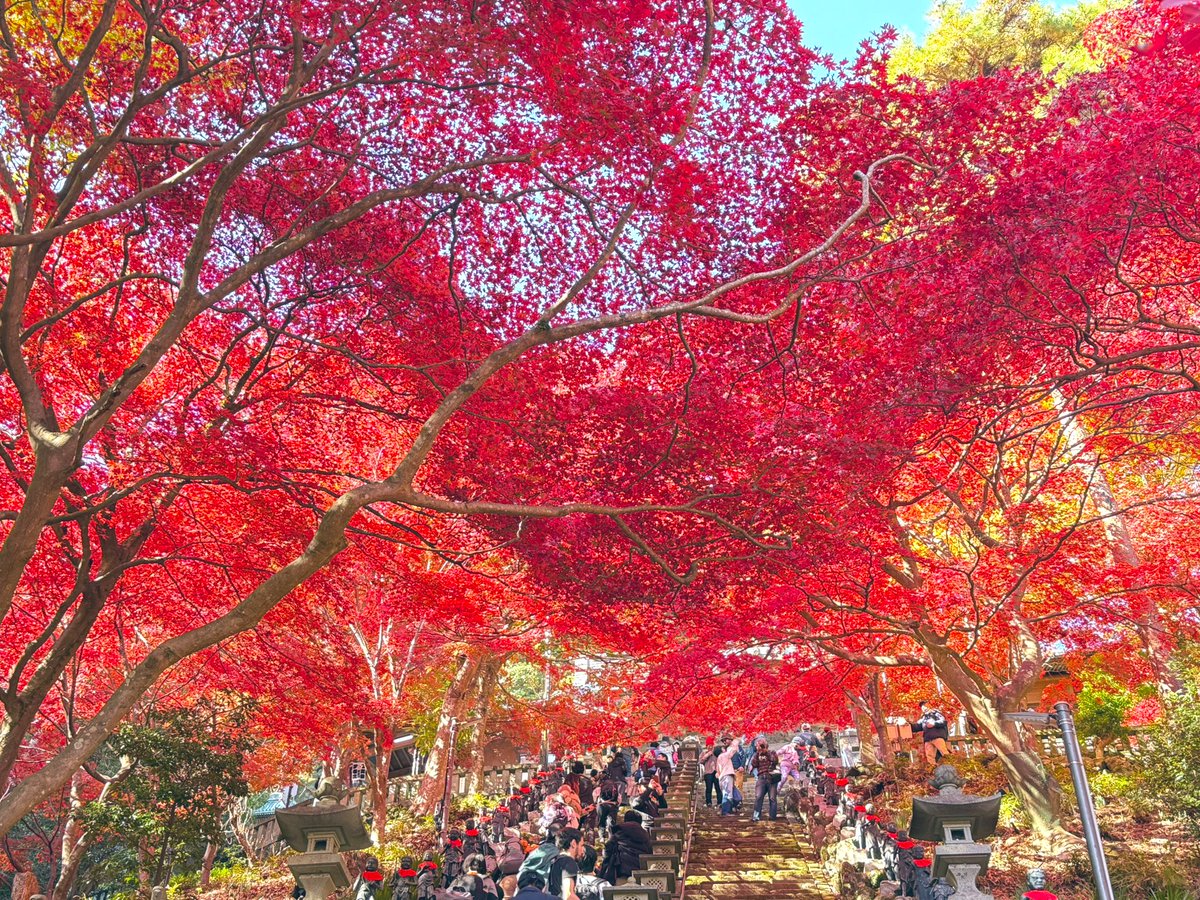 HIMAWARI (@387sunflower) / Posts / X