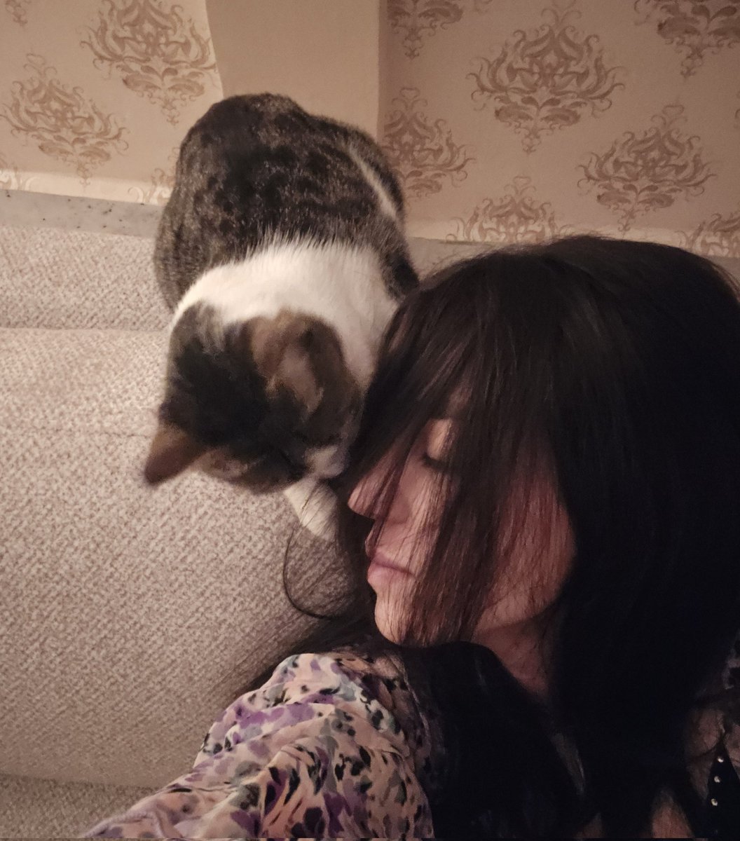 _sigynn_'s tweet image. +گوشتو بیار؛ شنیدی میگن قراره جنگ بشه؟!
-نمیدونم والا. تو جنگ میتونی کار کنی واسمون غذا بیاری دیگه؟