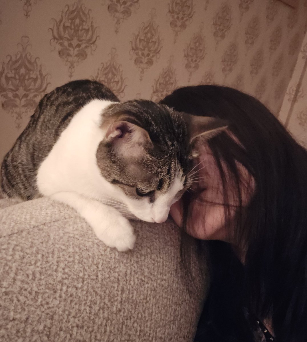 _sigynn_'s tweet image. +گوشتو بیار؛ شنیدی میگن قراره جنگ بشه؟!
-نمیدونم والا. تو جنگ میتونی کار کنی واسمون غذا بیاری دیگه؟