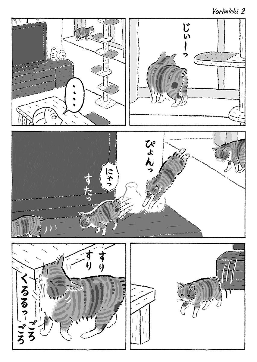 sobun_nekomanga's tweet image. 3ページ猫漫画「より道」