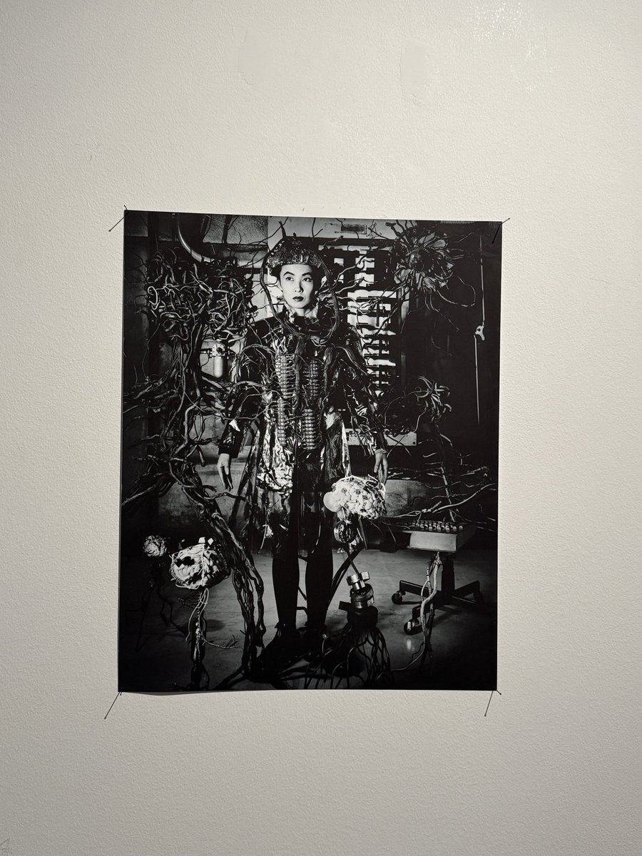 Seina (@Seina) / Posts / X