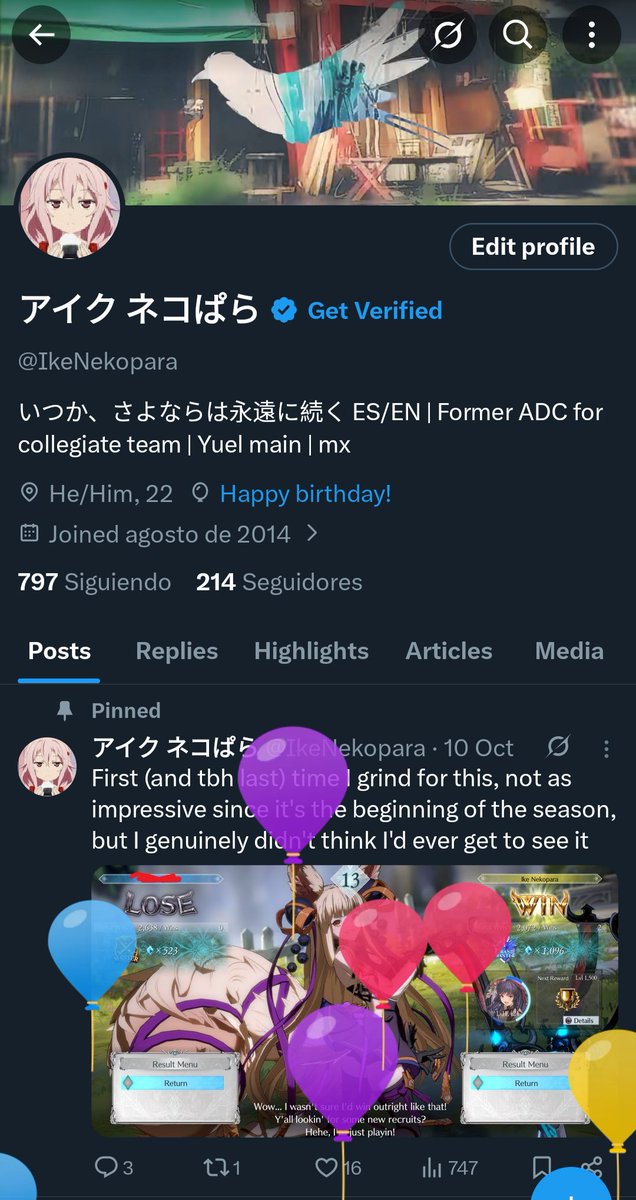 アイク ネコぱら tweet media