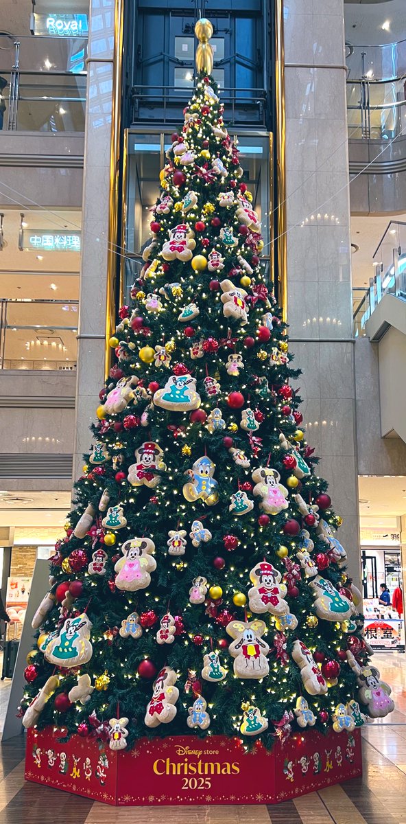3連休初日は、羽田展望デッキにお邪魔しました😊
ワンワ塗装のA350出発に遭遇✈️
先日引退したJA732Jも探してみたけど
いなかった😅

次回は札幌便か福岡便でお世話になる予定です♥️

クリスマスツリーも可愛かった🌲
#JAL
#日本航空
#羽田空港