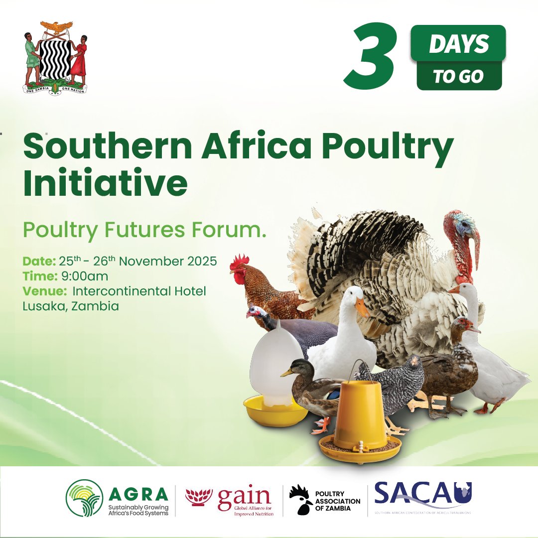 3 Days until we shape the policy landscape! 🌍​

The Poultry Futures Forum isn't just a meeting; it's a platform for policy dialogue bringing together governments, private sector leaders, and farmers. We are gathering in Zambia to launch and accelerate the Southern Africa Poultry