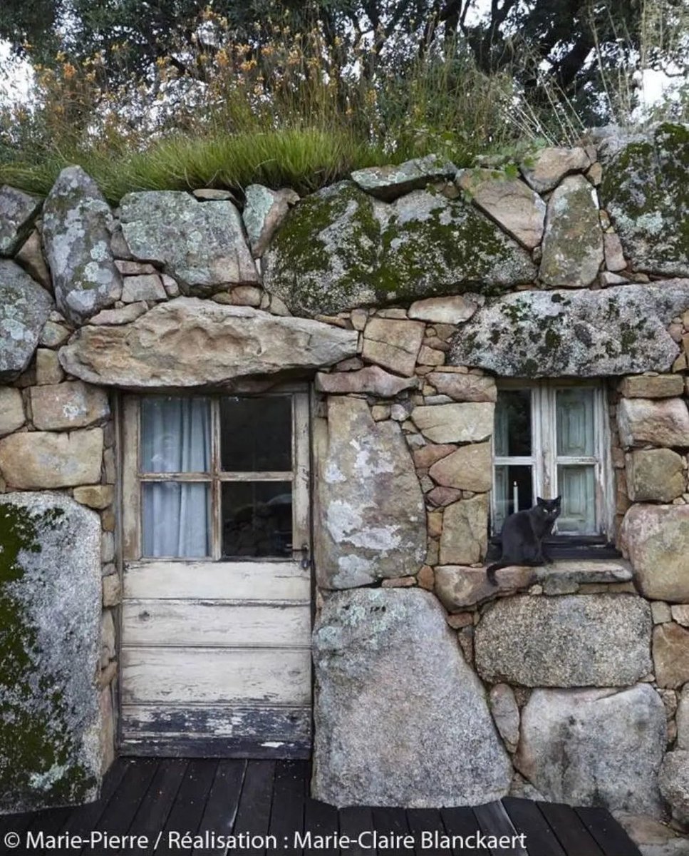 pantelischio's tweet image. #Doorsandwindows