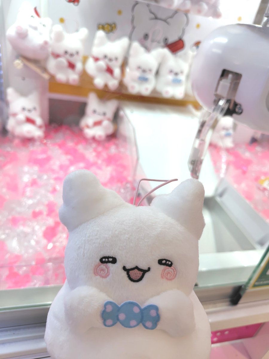 まるまるちゃんげっと💮💯