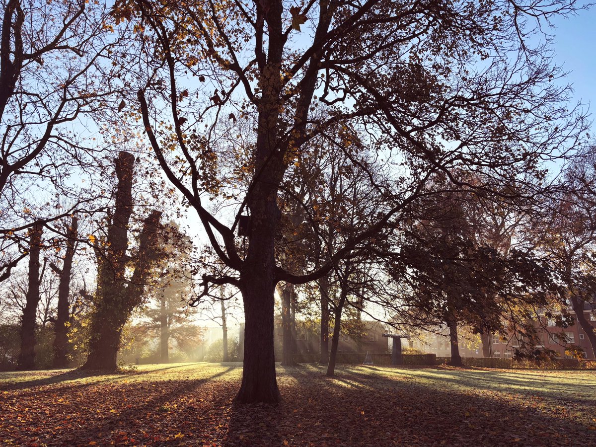 ProNouk's tweet image. Early morning walks can be the best. 

In the beautiful city of Zutphen.
