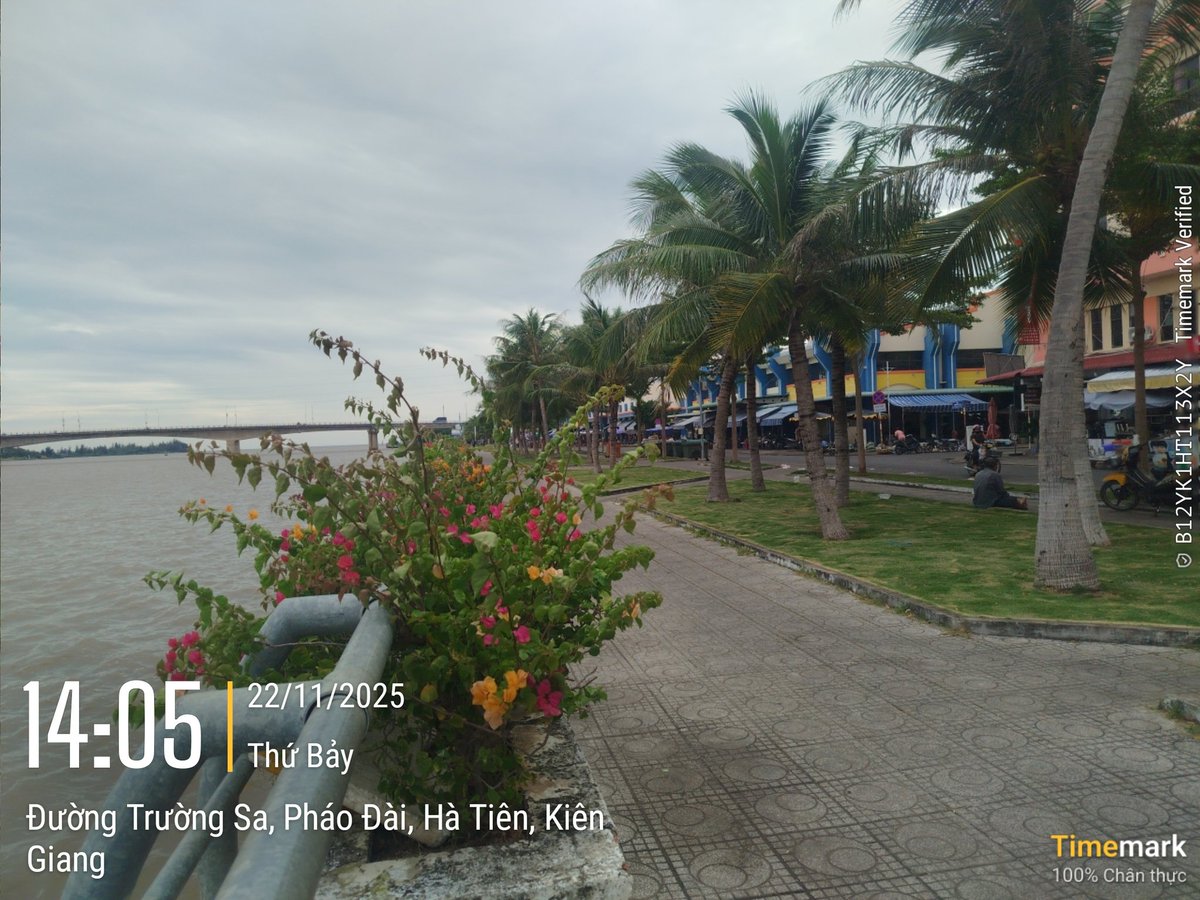 đại du tweet media