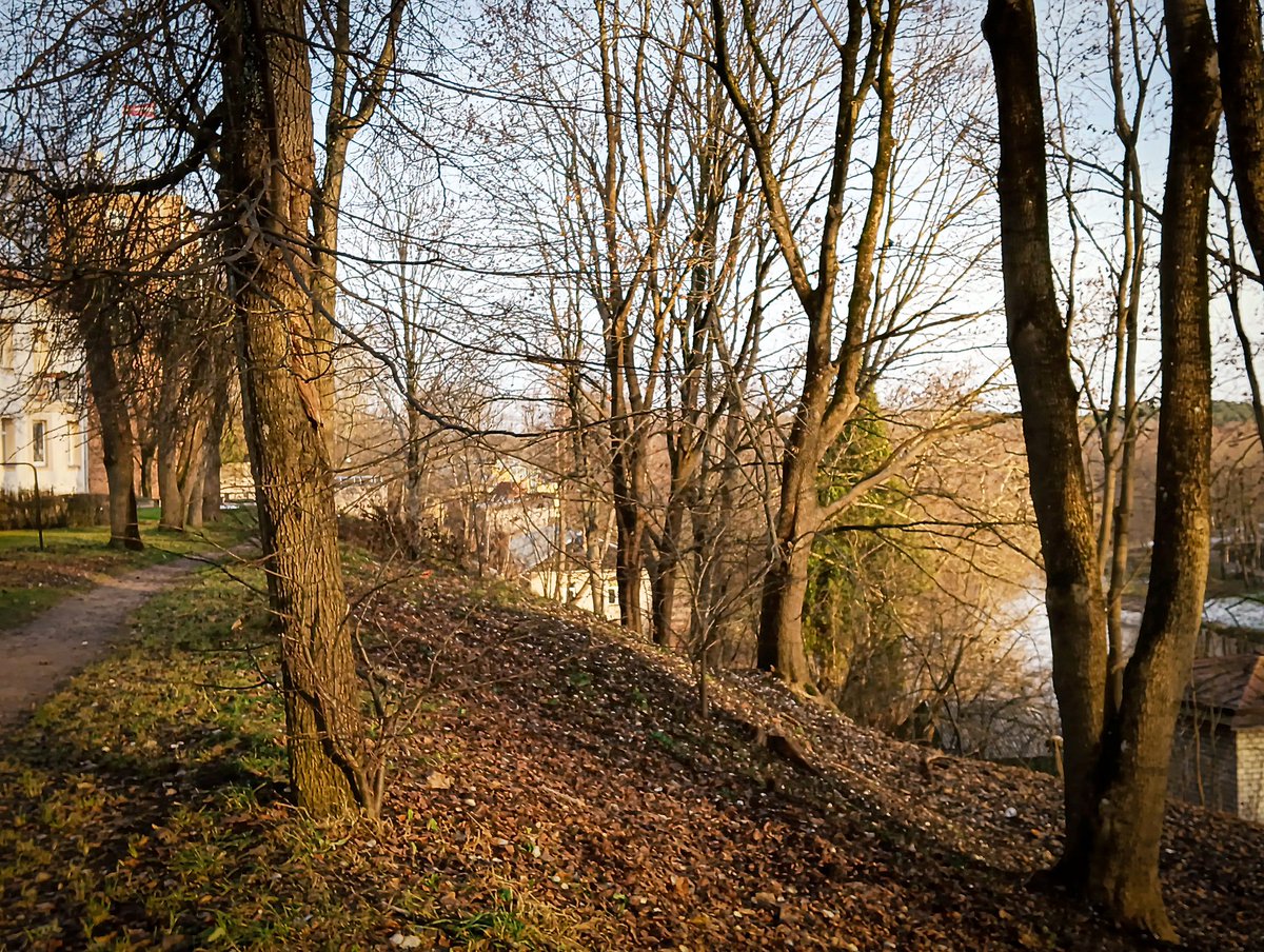 LatvianNature's tweet image. Viltus pavasaris Valmierā. ☘️🌷

#pavasaris #spring #nature #daba #naturephotography #latvija #latvia #lv #novembris #november