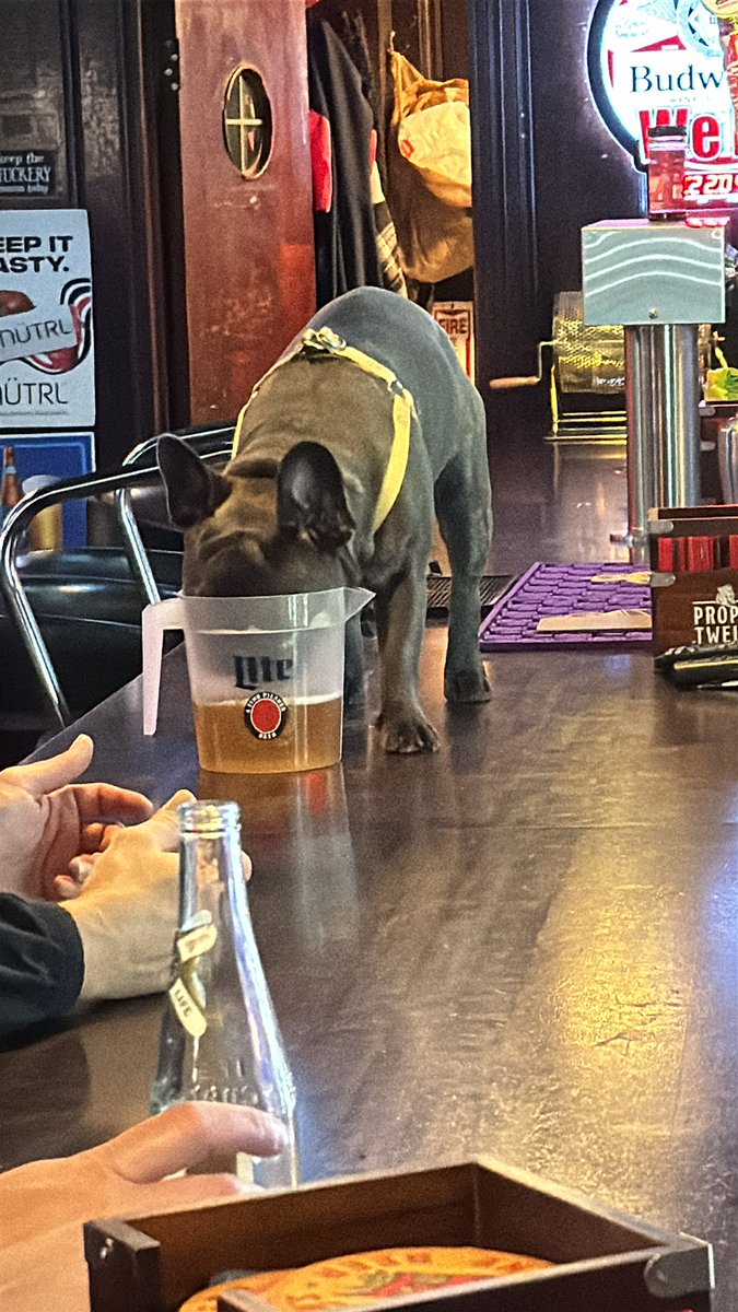 DTheWormSmalls's tweet image. Peak.  #expand