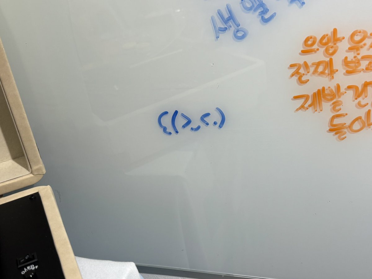 #빌려간_먕먕이를_찾습니다
편지 쓸 수 있는 판도 있고 영상도 스크린으로 틀어주셔서 재밌게 감상했습니다🎂