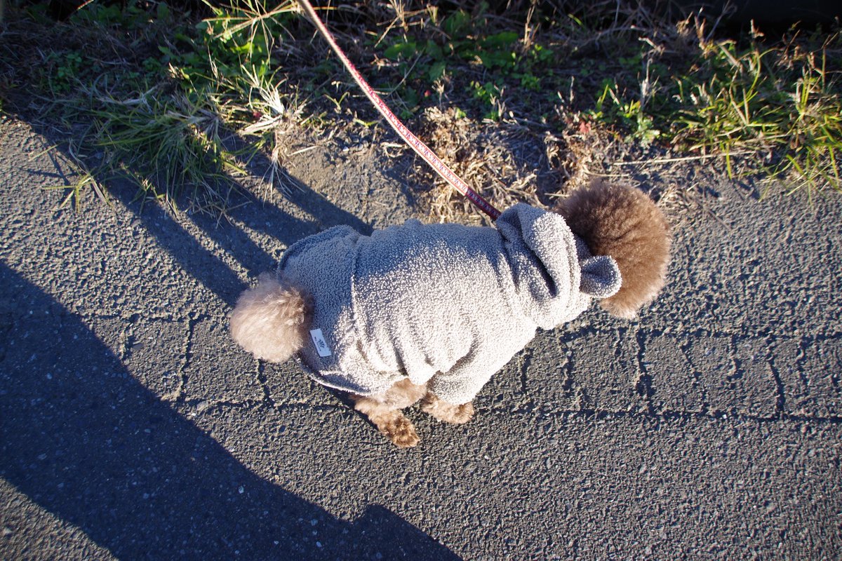 ペコリンさま★専用ページです。 U*'エ'*) 1-2 南南東→西