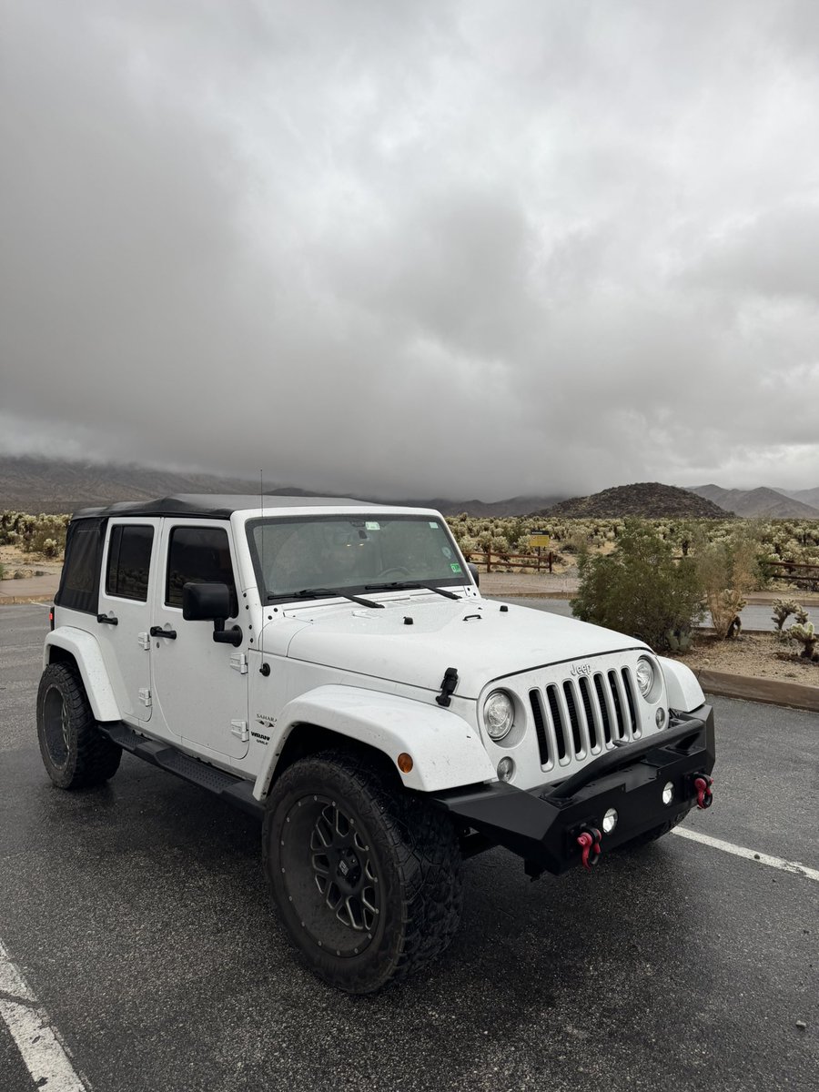 meijiwanders's tweet photo. What I learned from Joshua Tree NP 💚 looked really beautiful even on the worst weather day 😝 #JoshuaNP https://t.co/vqK0GtSDrP