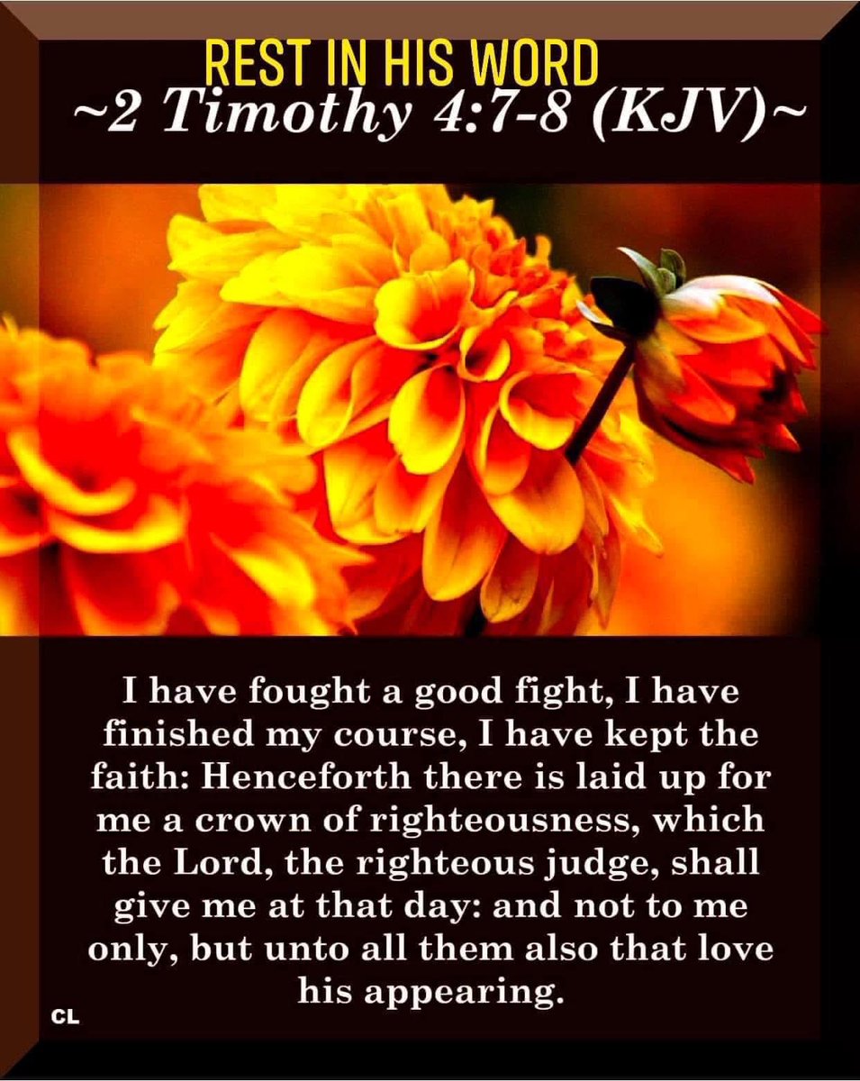 Loraine Phyllis Powell (@lpowell18p) on Twitter photo 