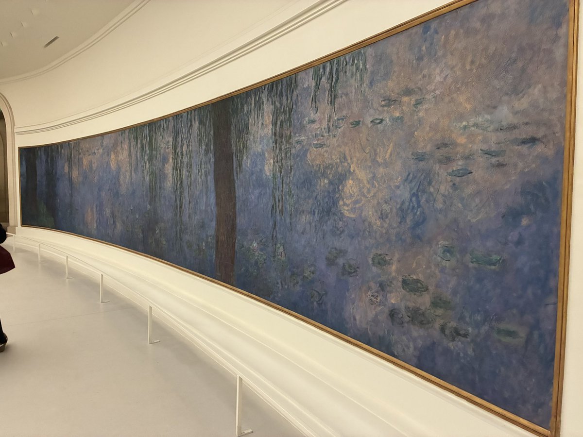 Wildkatze tweet media