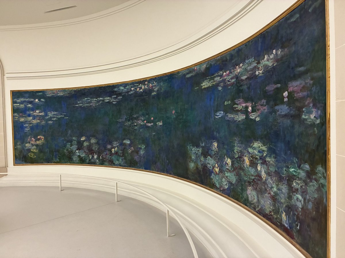 Wildkatze tweet media