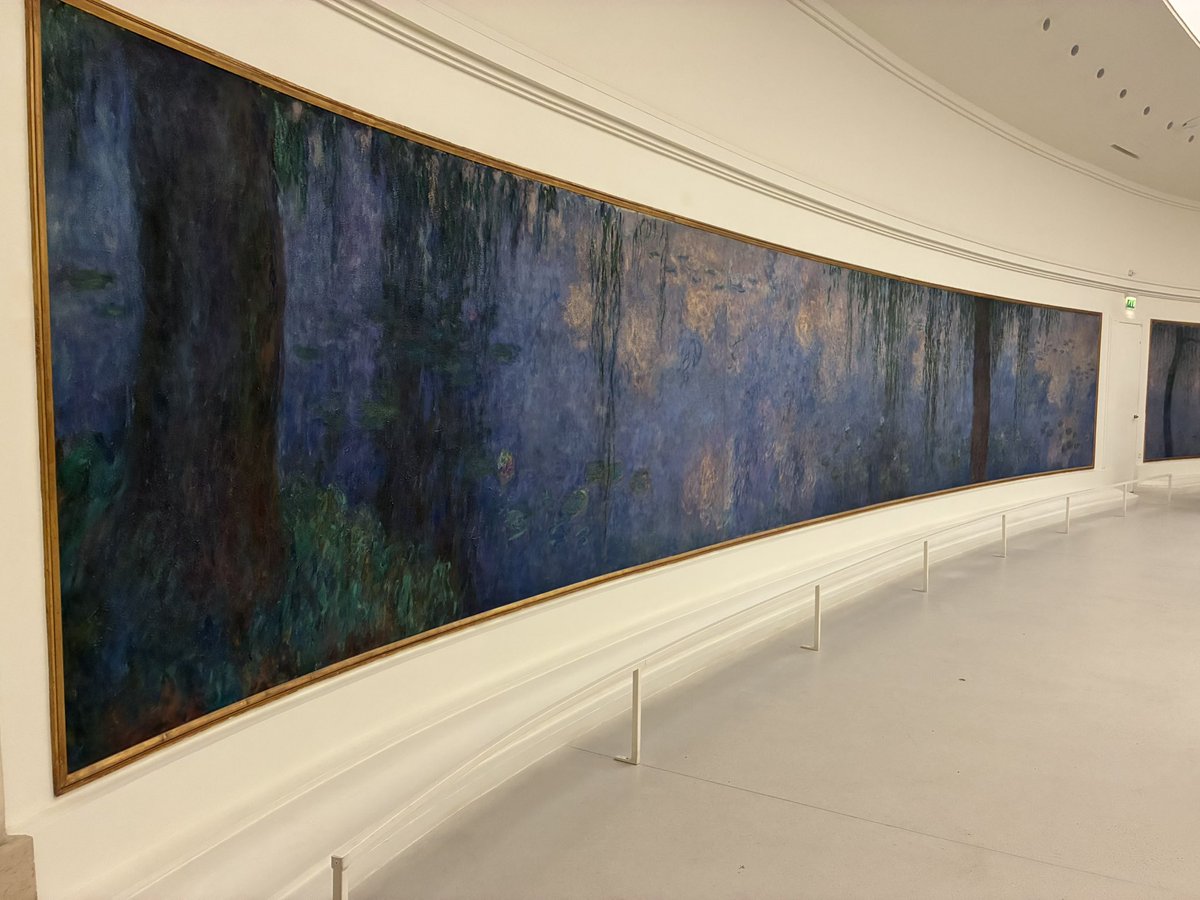 Wildkatze tweet media